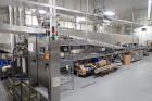 Babbco Direct Fired Tunnel Oven